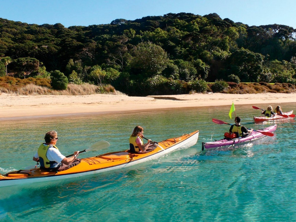 Friends kayaking the crystal clear waters of the Bay of Islands