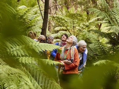 Een groep wandelt door de prachtige bossen in het natuurreservaat