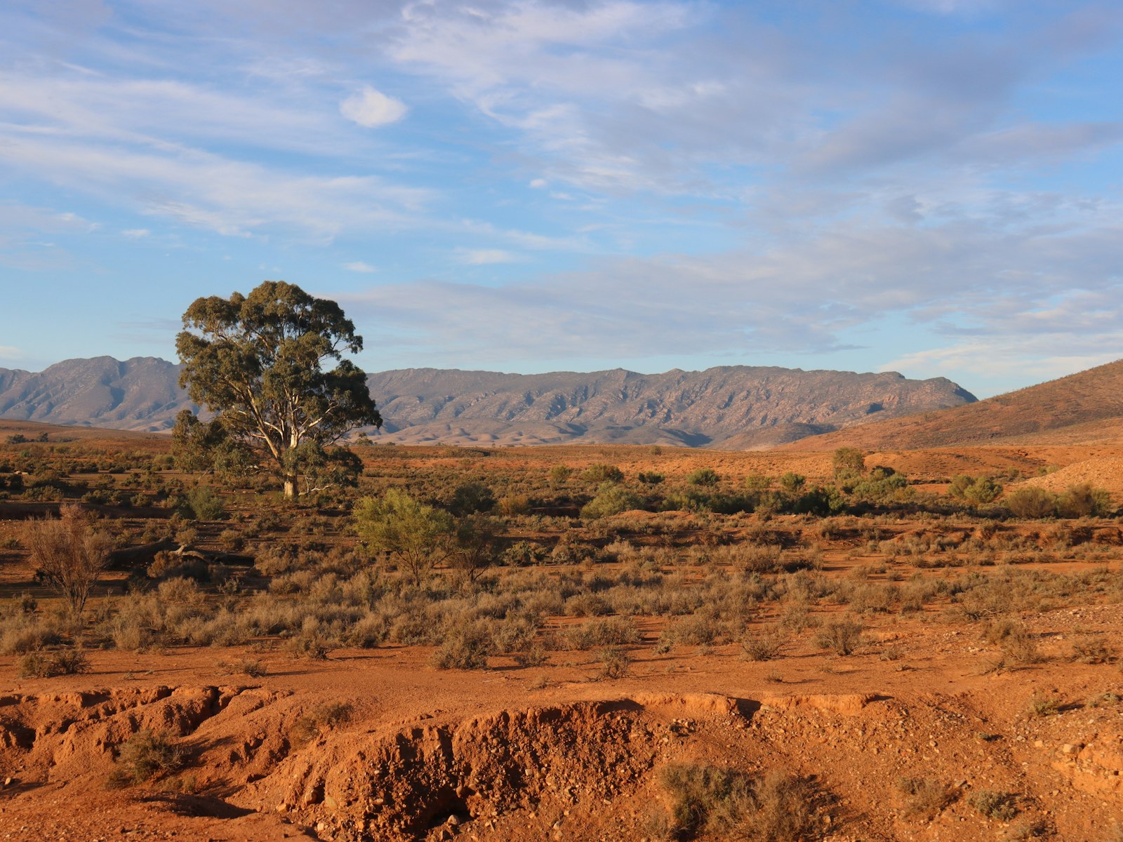 Discover Flinders Ranges National Park | TravelEssence