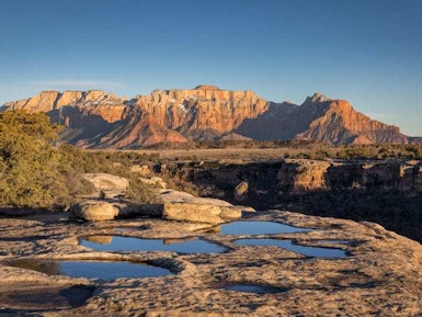 6976 USA Utah Zion landscape