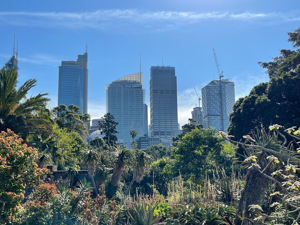 Botanischer Garten in Sydney mit Hochhäusern im Hintergrund