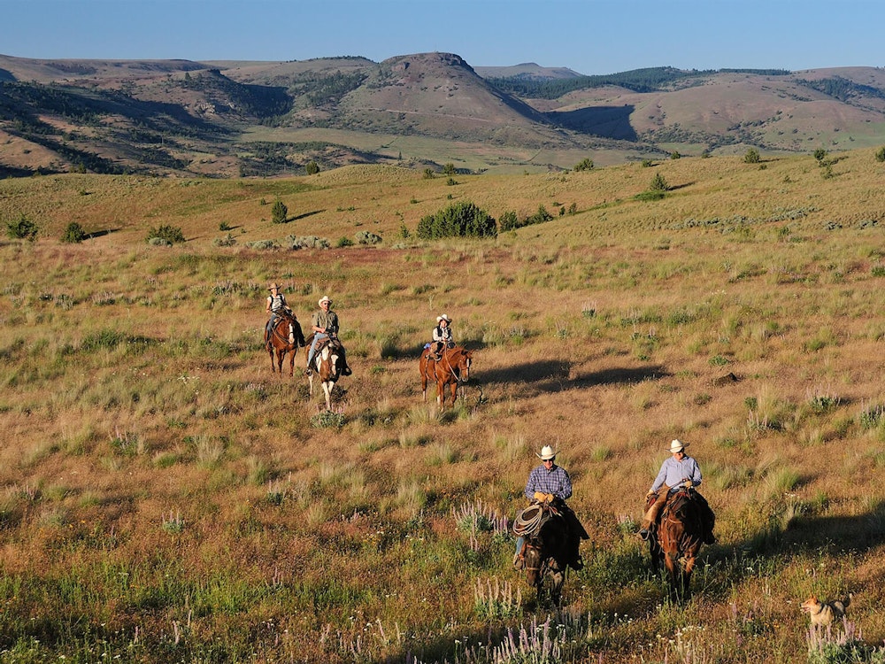 Mehrere Cowboys, die über Prärie reiten