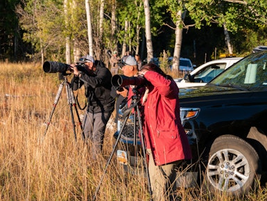 Een groep mensen staat opgesteld met camera's bij auto's in Grand Teton National Park