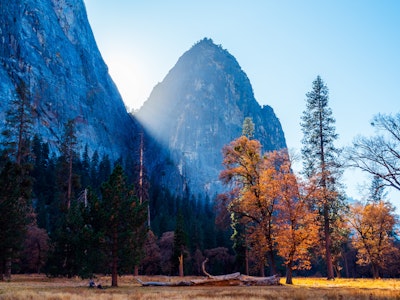 Herbstliche Landschaft mit dem El Capitan im Hintergrund im Yosemite Nationalpark