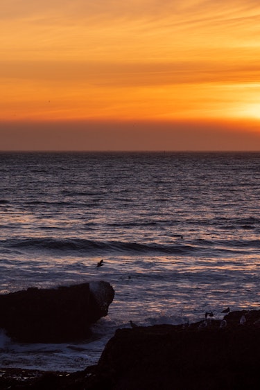 Surfer Santa Cruz Sonnenuntergang