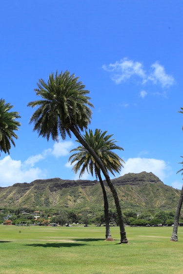 Usa hawaii view of leahi from kapiolani park