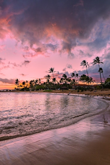 United states hawaii poipu beach sunset palm trees