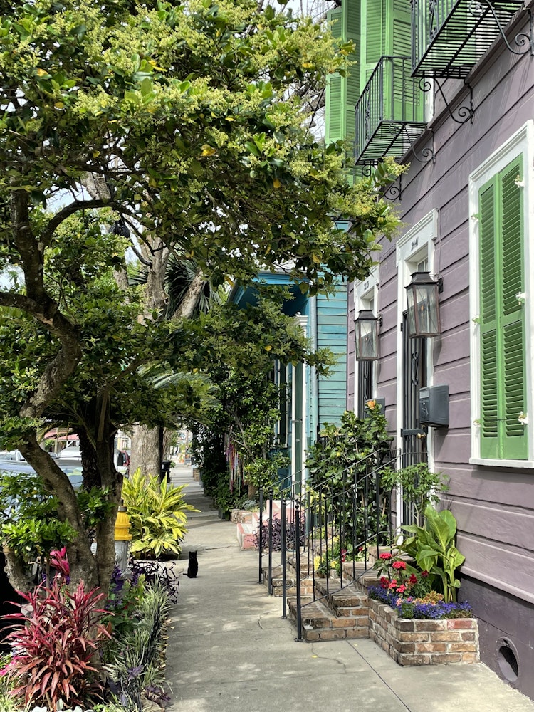 US Louisiana New Orleans cute street