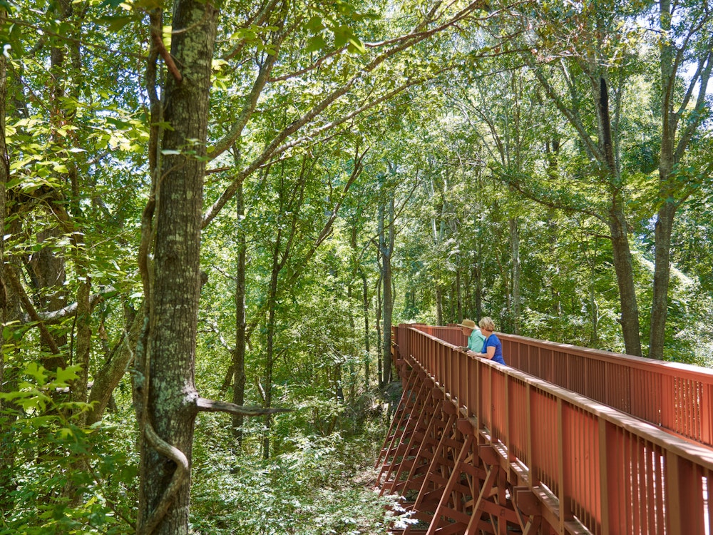 Mensen lopen op een houten brug door een bos in Louisiana