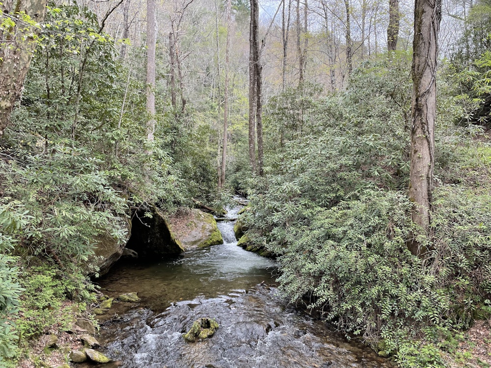 US North Carolina Great Smoky Mountains stream through forest