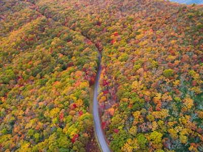 Blue Ridge Parkway door herfstachtig bos in North Carolina