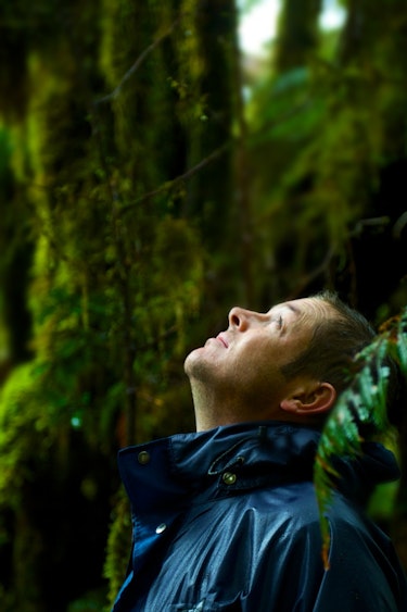 Neuseeland Regenwald Andrew Morten Travelessence