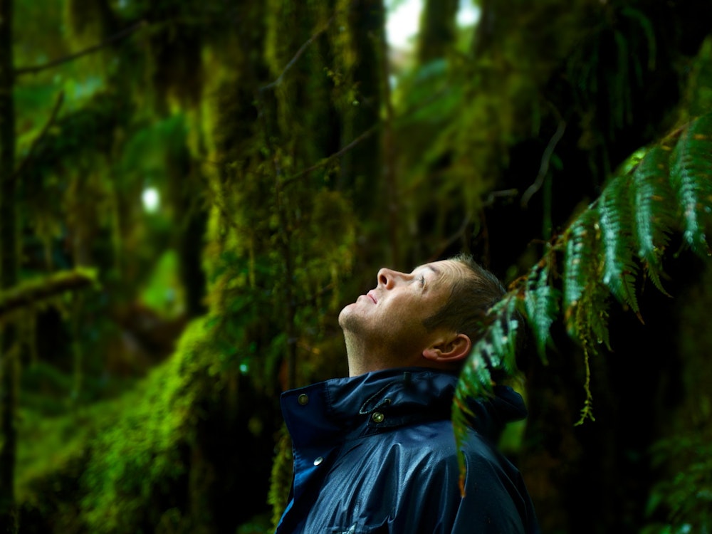 Man standing in New Zealand rainforest