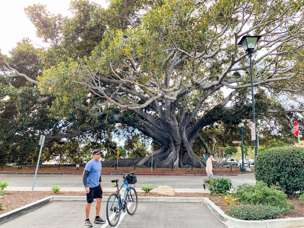 Fahrradtour durch Santa Barbara, Kalifornien | USA Urlaub