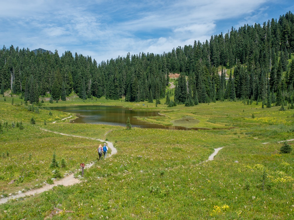 Wandern durch den Mount Rainier Nationalpark, Washington State | USA Reisen
