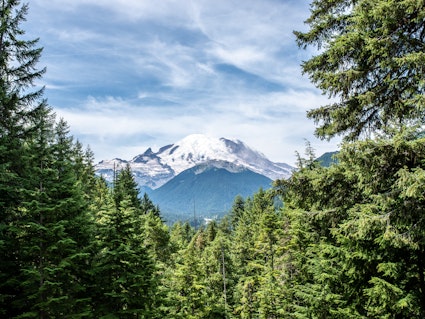 Blick auf den Mount Rainier Nationalpark, Washington State | USA Urlaub