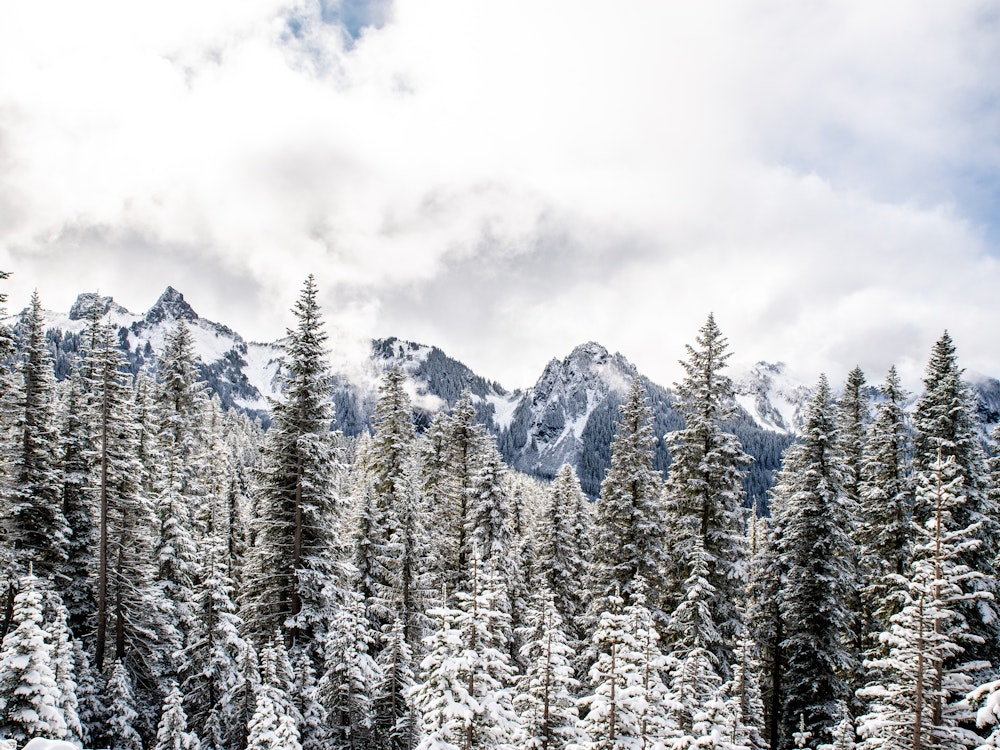 Winterlandschaft im Mount Rainier Nationalpark, Washington State | USA Reisen