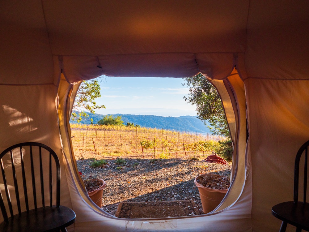 Blick aus dem Zelt auf Weingut in Los Gatos, Kalifornien | USA Reisen