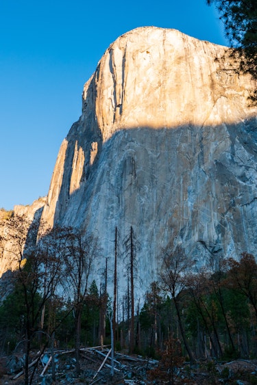 P1077319 Yosemite Scenery