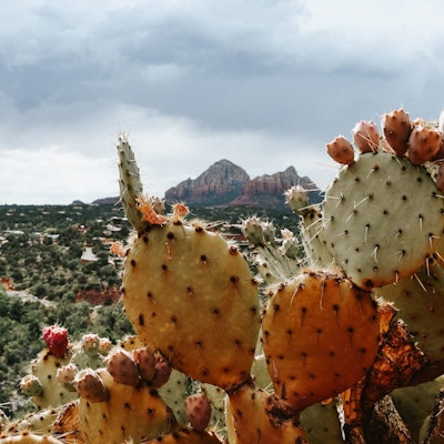 Blick auf Sedona, Arizona | USA Urlaub