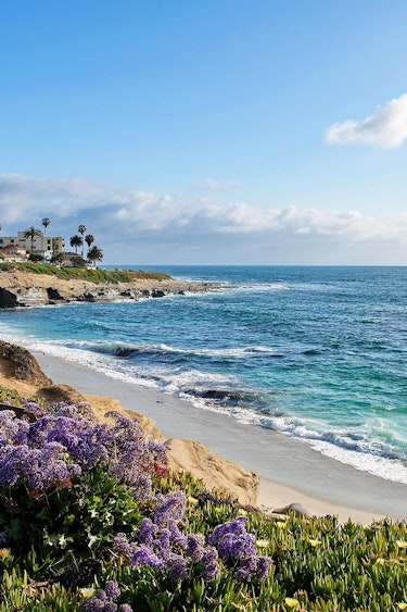 USA California San Diego Beach c Irina Sen