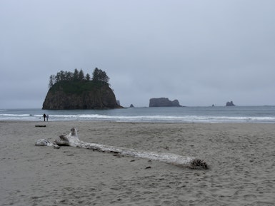 Strand in het Olympic National Park Washington State USA