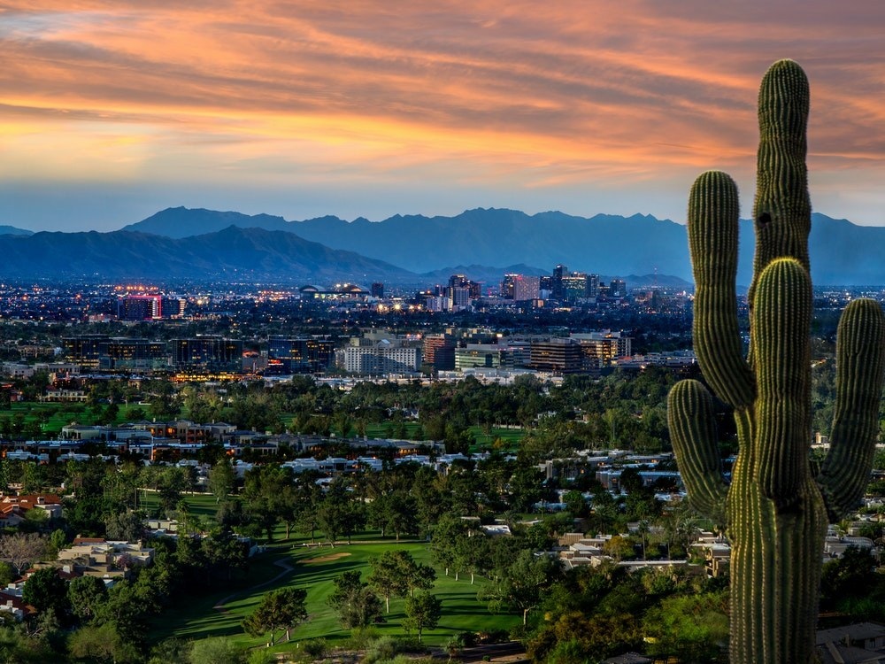 Blick über Tucson mit Kaktus bei Sonnenuntergang