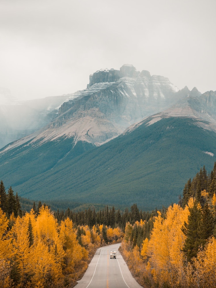 ca_icefields park way_autumn_mountains_jasper national park
