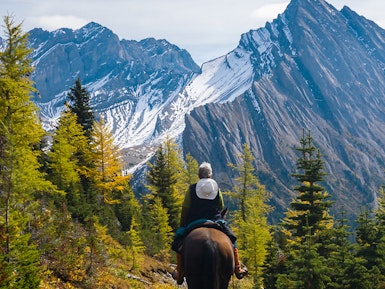 Man rijdt op een paard door Banff National Park Canada