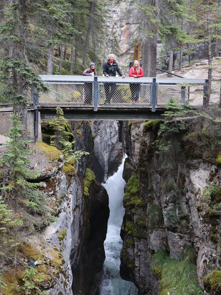 Vrienden staan op een brug in het natuurgebied bij Jasper