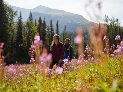 Pärchen wandert durch Wiesen mit Bergen im Hintergrund in Kanada