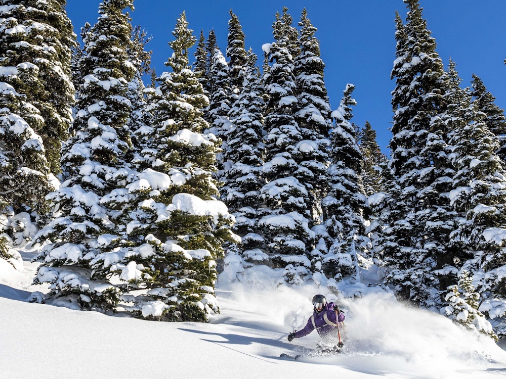 Can skiing whistler credit tourism whistler ben girardi resized
