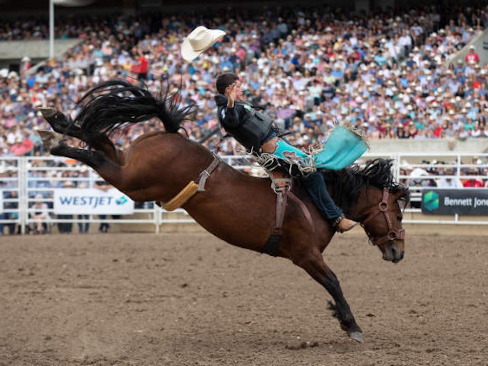 Reiter beim Rodeo
