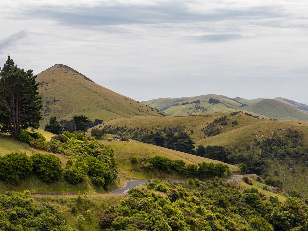 Straße über grüne Hügel in Neuseeland
