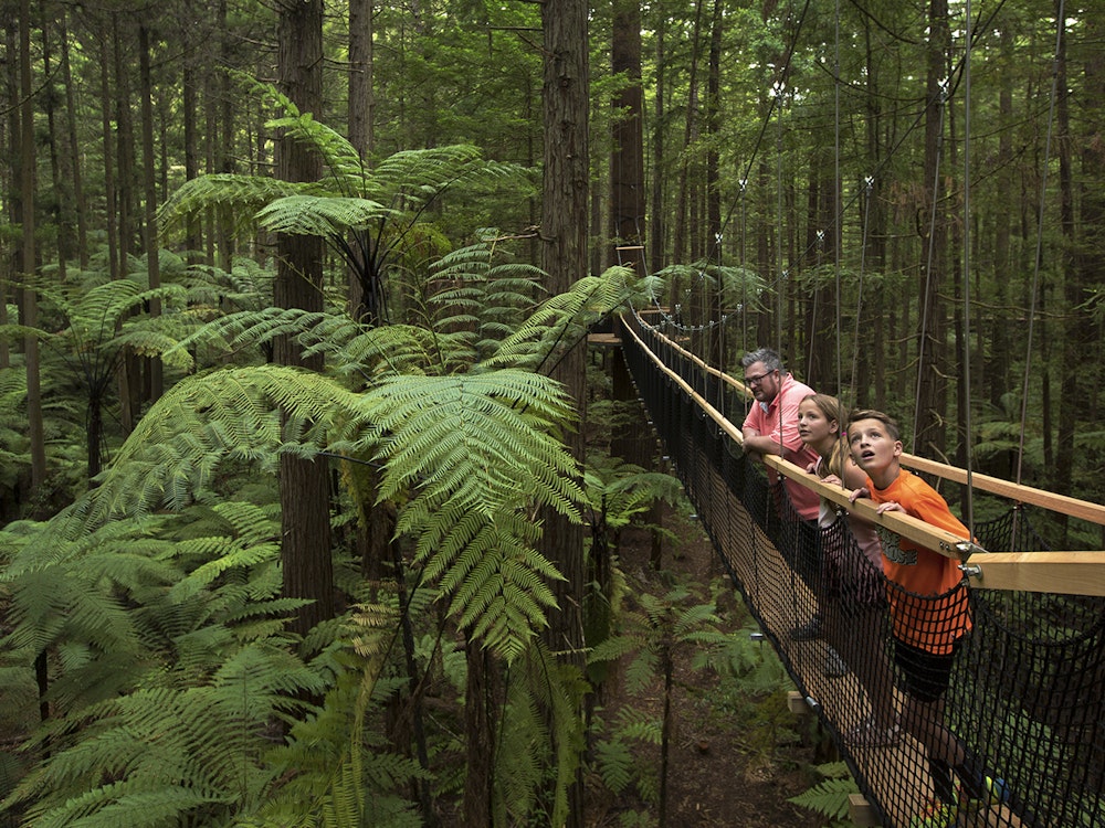 Ein Mann und zwei Kinder stehen auf einer Hängebrücke und bestaunen den Regenwald um sie herum.
