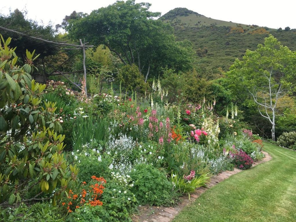 Ein blühender Garten in bunten Farben, auf der Otago Bay in Neuseeland.