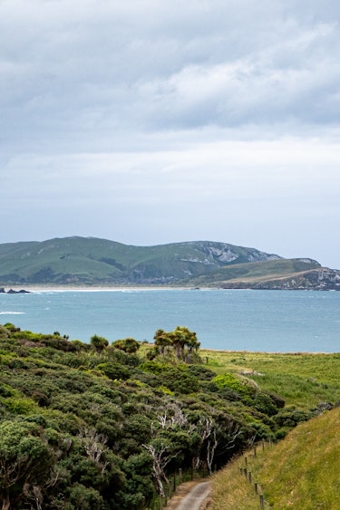 Neuseeland Otago Peninsula Küste