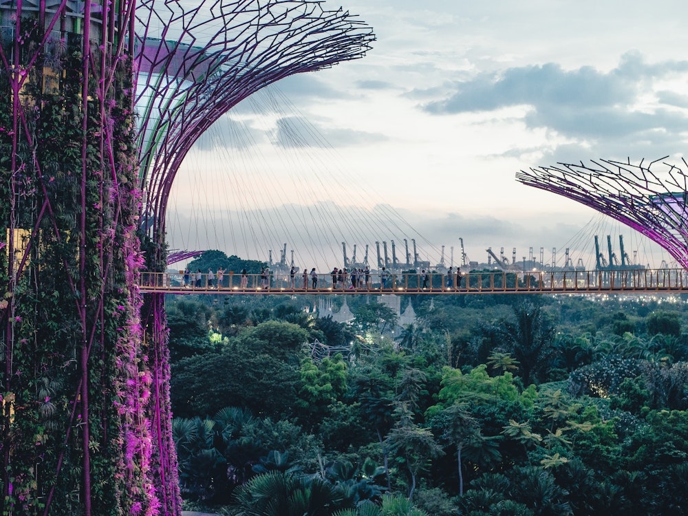Skywalk zwischen den Super Trees in Gardens by the Bay in Singapur