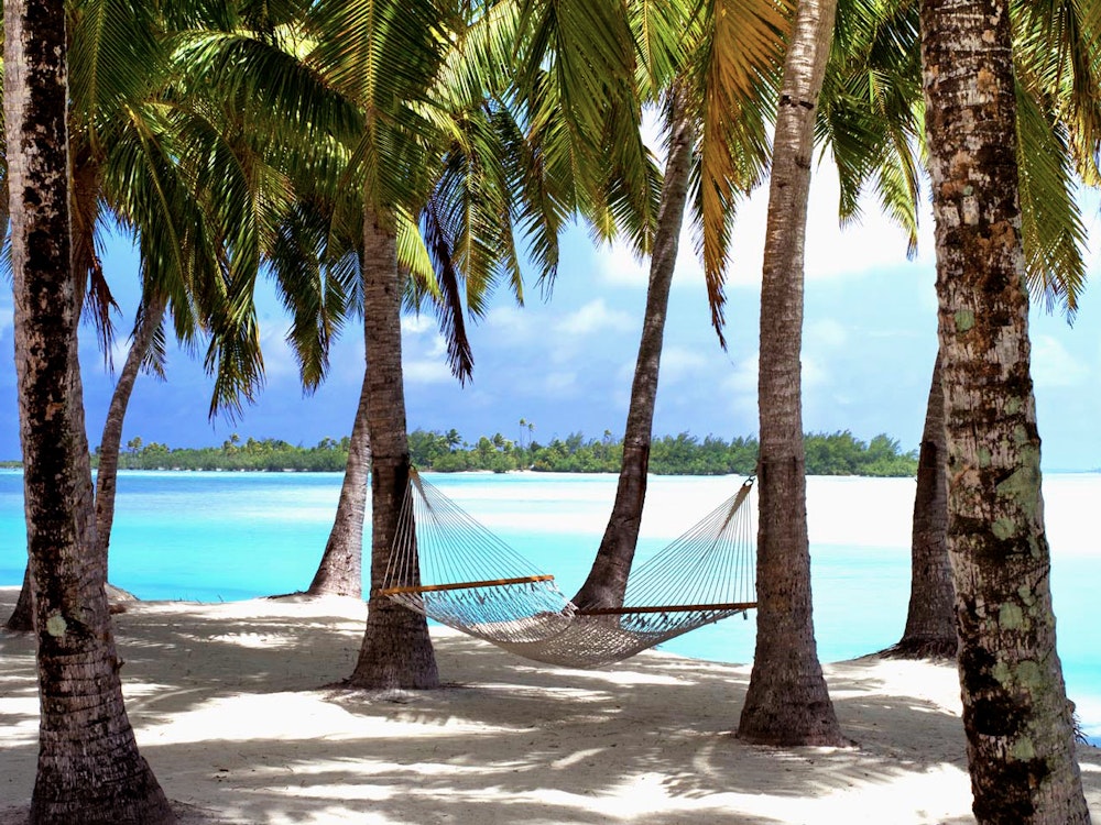 Twee hangmatten hangen tussen de palmbomen op de Cook Eilanden