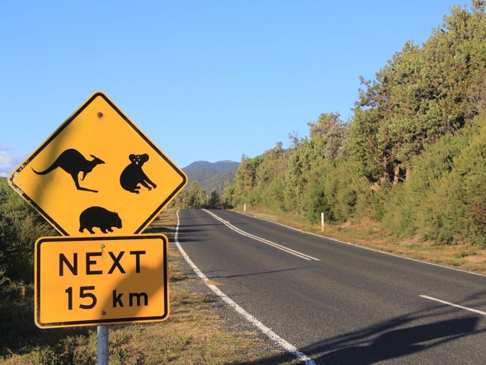 Straße mit Schild in der Natur von Australien