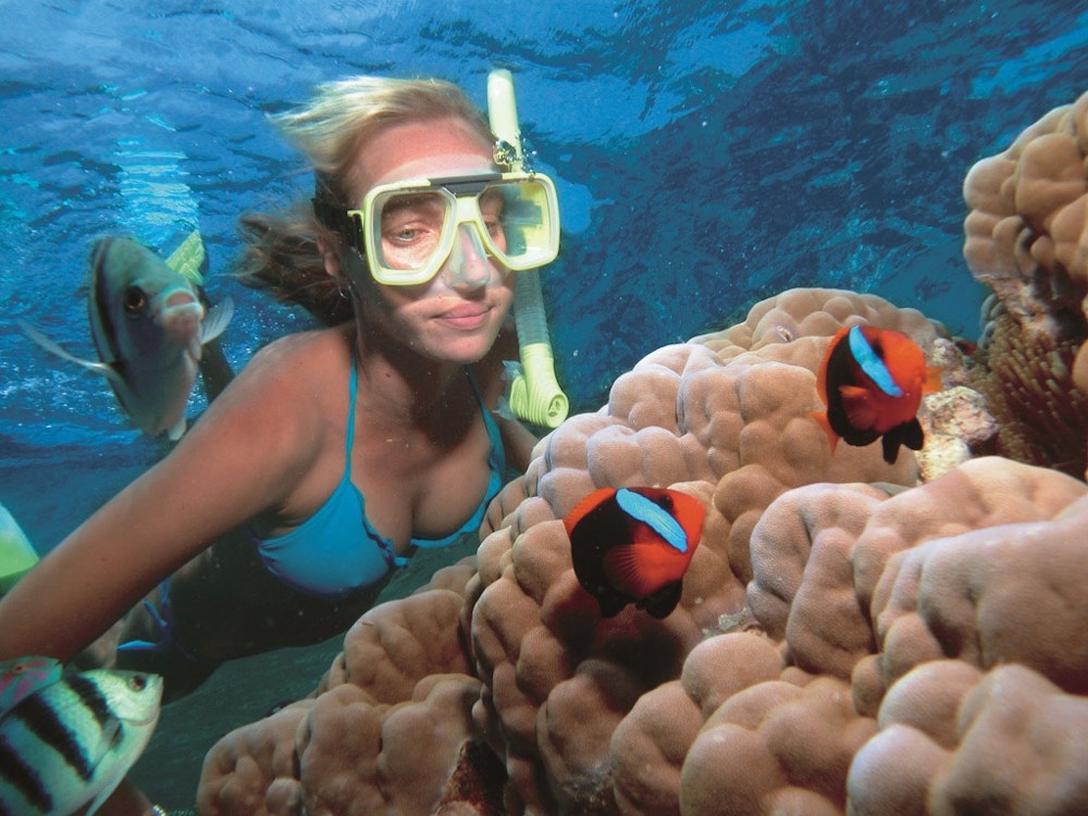 aus great barrier reef snorkel