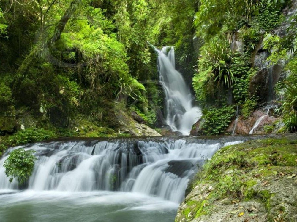 Wasserfall und Kaskaden im Regenwald des Lamington Nationalparks