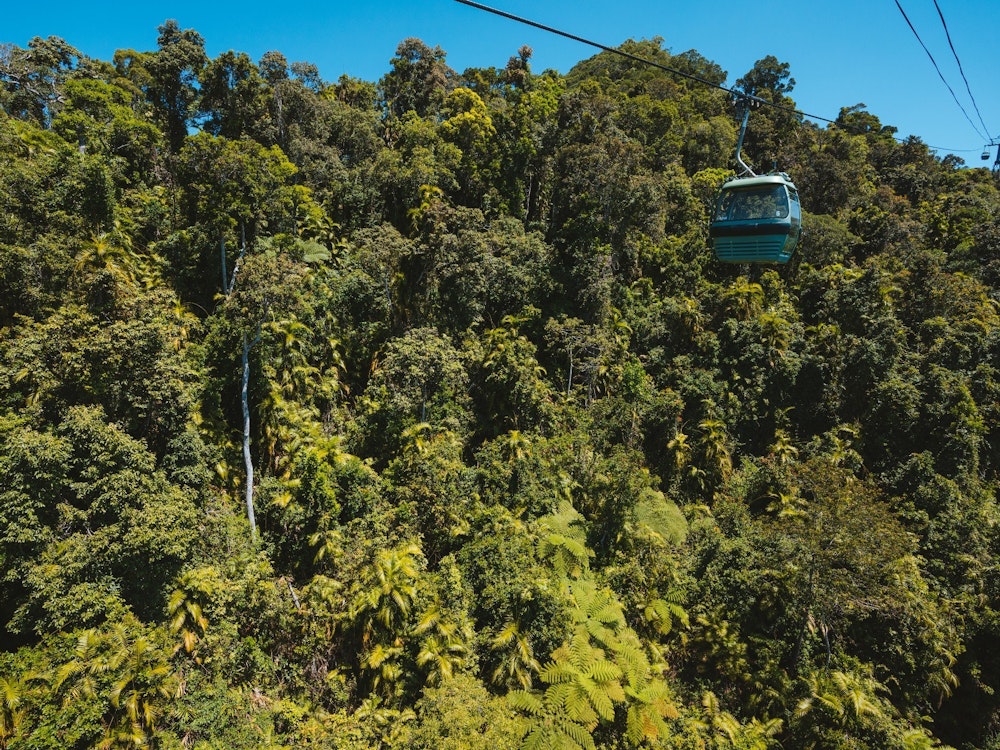 Kabelbaan over het regenwoud bij Cairns