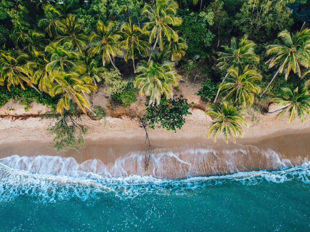Clifton Beach in Cairns, met pal achter het strand vele palmbomen