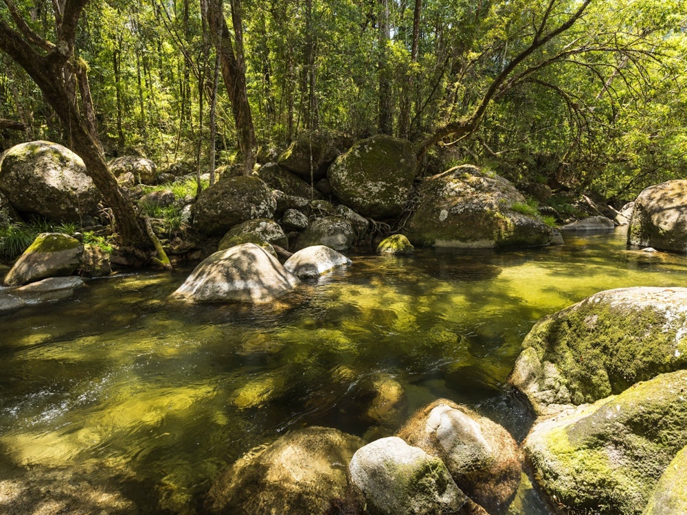 Een groene rivier omringd door bomen en stenen rotsen bij Mossman Gorge