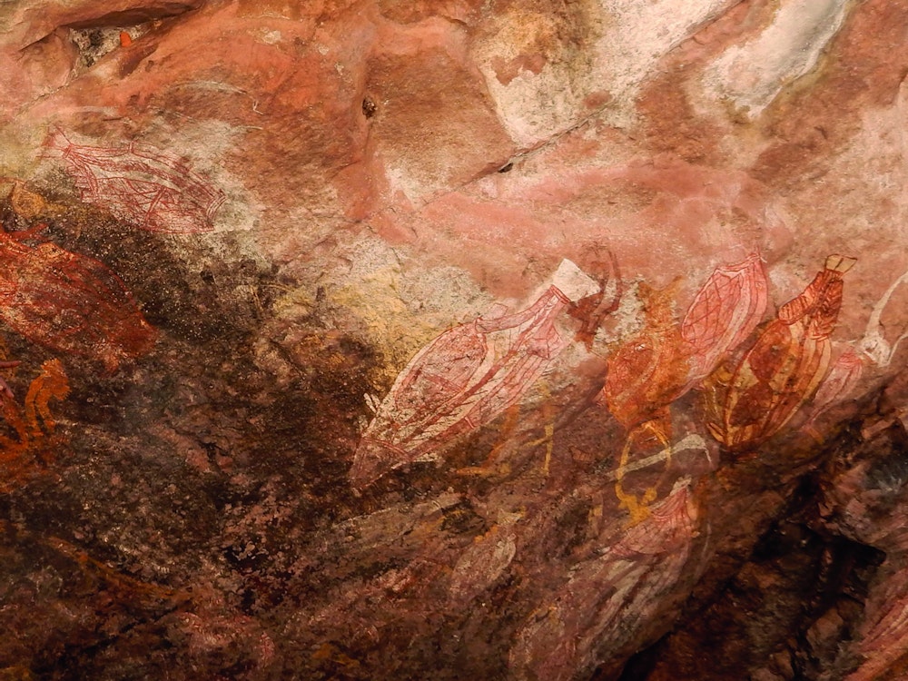 Aboriginal with rock art Fam Plukker