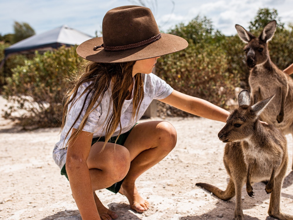 Mädchen mit Hut streichelt Wallabys
