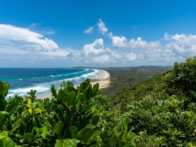 Grüne Wälder und Strand der Byron Bay in New South Wales