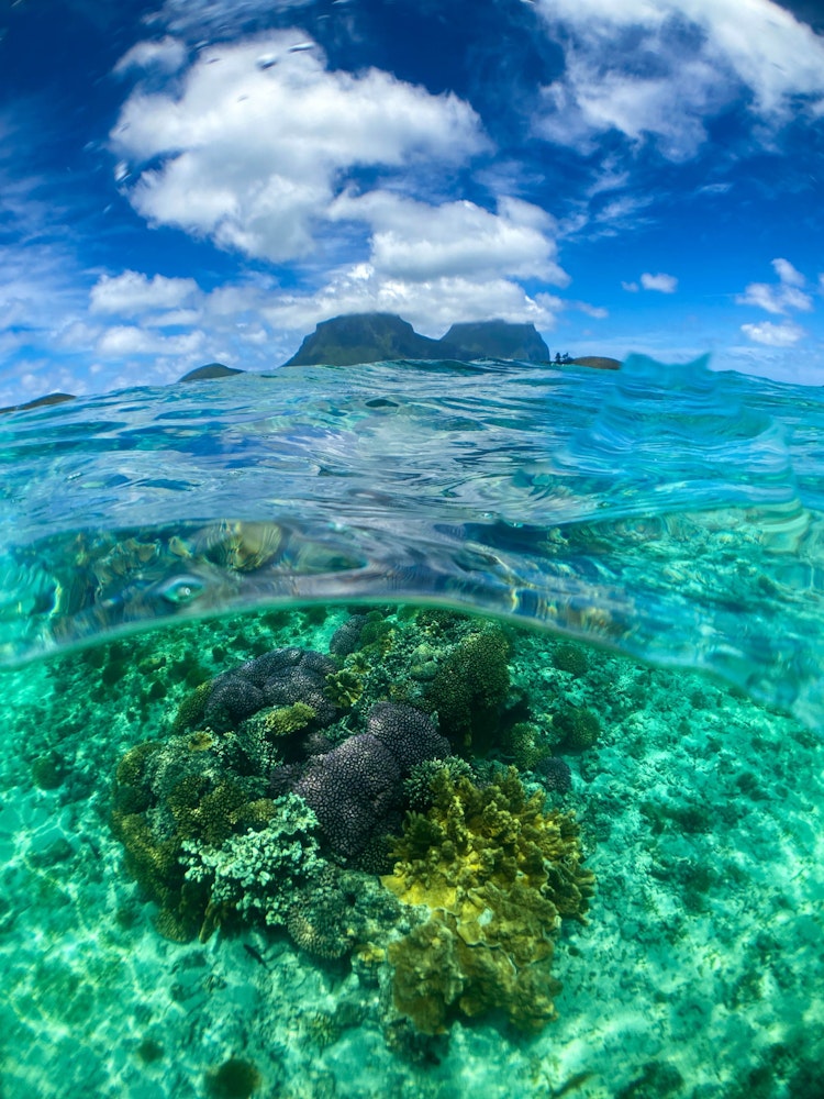 Ansicht halb über und halb unter Wasser von Lord Howe Island