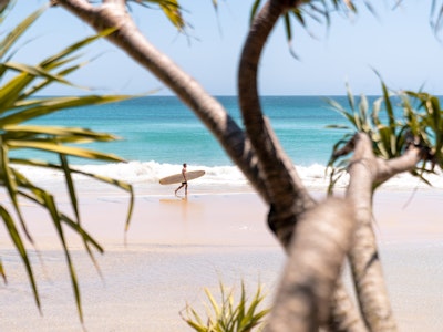 Blick durch Baum auf Strand und Surfer in Queensland